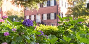 Hotel/Motel Tax & Occupancy Update for August, 2018