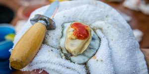 Tubby's Oyster Roast Business Connection | March 22