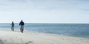 Visit Tybee Calls for Spring Specials from Tybee Members