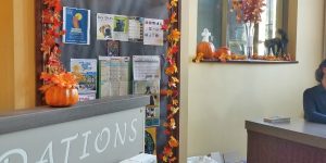 Visitor Center Gets Festive for Fall