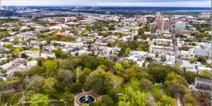 Urban Forests Photo Project Kicks Off in Savannah