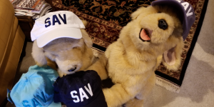 SAV Hats Available at Visitor Center Gift Shop