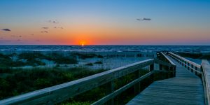 Visit Tybee's Instagram Profile Hits More Than 41,000 Followers