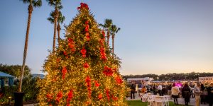 7th Annual Holiday Oyster Roast Business Connection | December 7