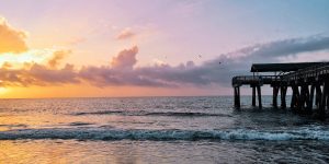 Tybee Visitor Center Breaks Visitation Record