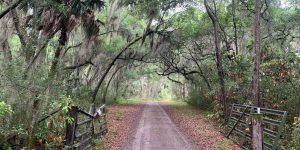 Savannah Spotlight: Moon River Capital, LLC