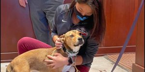 Chatham County Sheriff’s Department and Little Mama Visit the Chamber