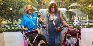 Runway Pups Retreat to Savannah & Stop by the Visitor Center
