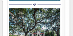Visit Savannah Email Newsletter Surpasses 100,000 Subscribers