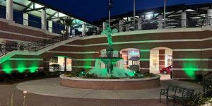 Visit Savannah President Joseph Marinelli Joins Leaders to Illuminate City Green for 200th St. Patrick’s Day Parade Anniversary Celebration