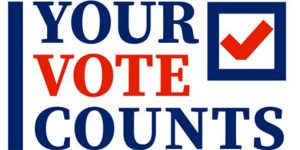 Vote in the May 21 Chatham County Elections