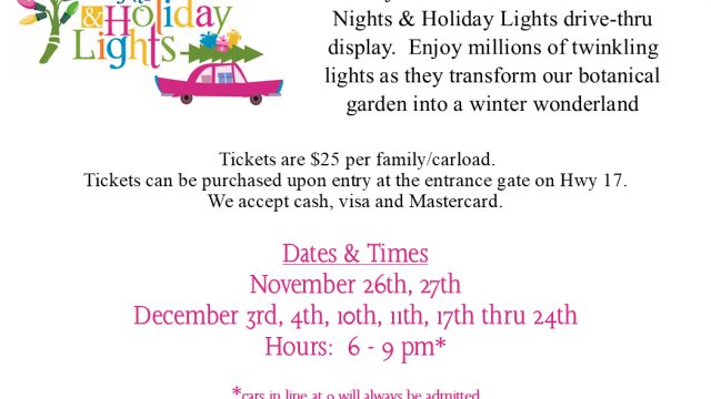 Holiday Lights Info