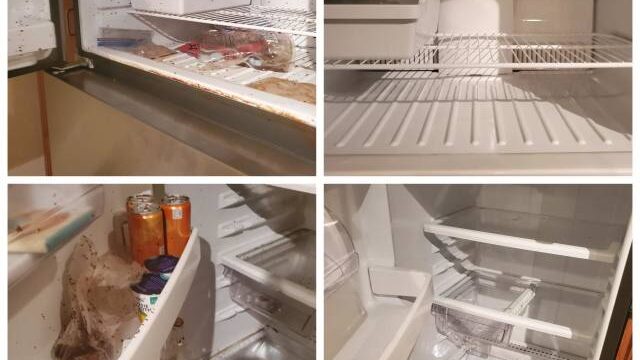 Fridge B&A