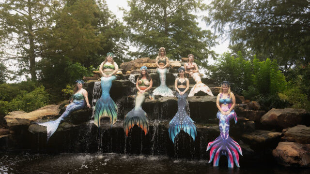 Mermaid Pod