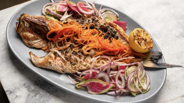 Snapper