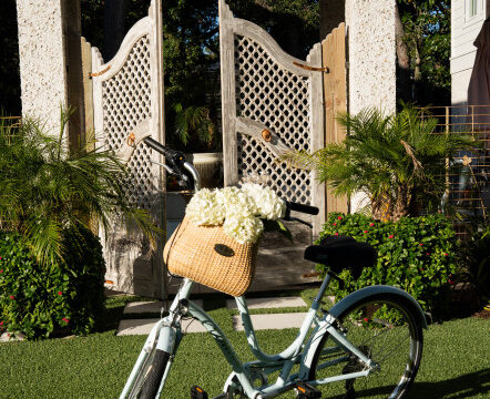Tybee Island Bike Basket