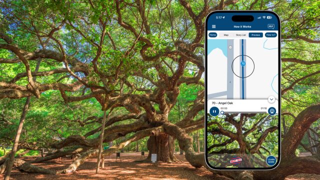 Savannah to Charleston 3