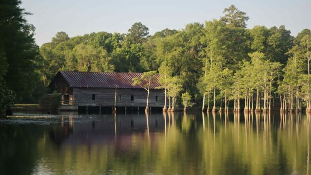 George L. Smith State Park - Wesley Hendley