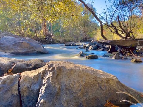 Ogeechee Shoals