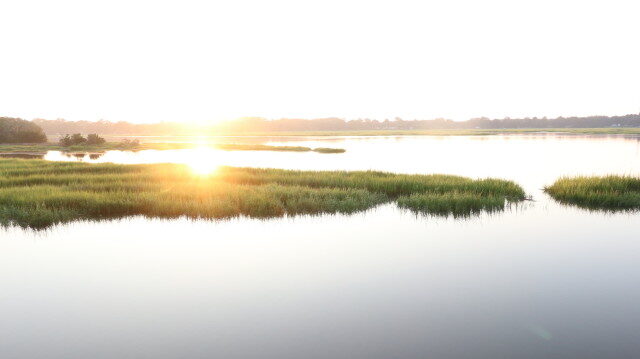 Vernon River Sunrise