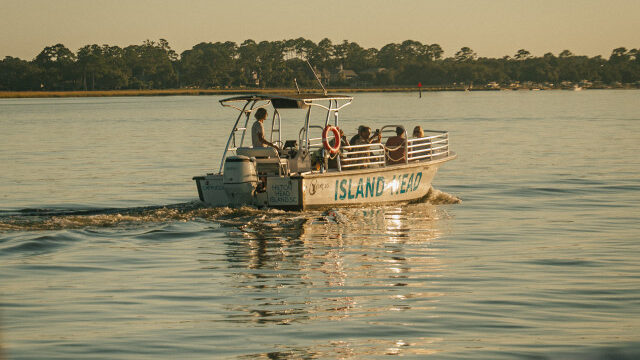 Island Head Savannah 4