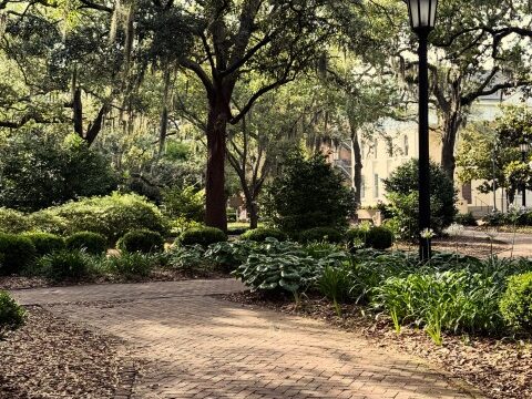 Stroll through one of Savannah's historic squares