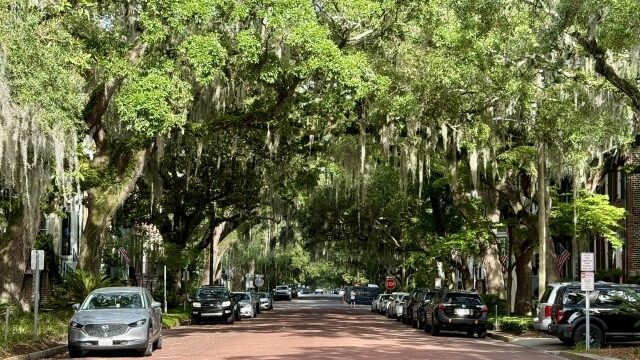Savannah's Spanish moss-covered live oak trees provide a great backdrop and great shade during tours