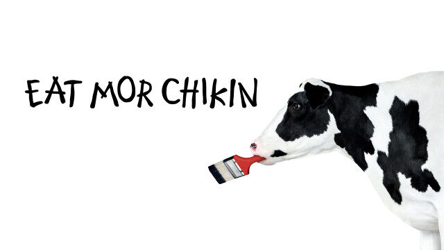 Cow